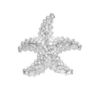 Tiny 20200218172859 53345b9b asimenio kremasto asterias