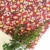 Tiny 20210429172306 34ff2dda keromantilo beeswax wrap