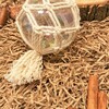 Tiny 20211111112722 50fc12bf mpala makrame macrame