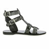 Tiny 20221122132541 4df9b02a lesvos black python