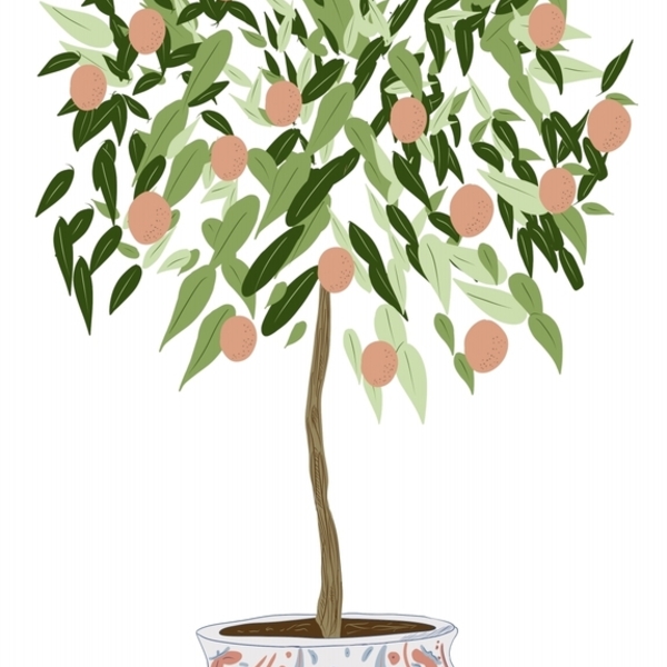 Poster orangetree - αφίσες