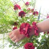Tiny 20230514094821 a9c4c924 scrunchie ena monadiko