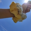 Tiny 20230524154450 fc70ad94 lemon tree 1