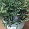 Tiny 20230709165302 023c2199 makrame amethystos