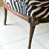 Tiny 20231005154723 d3436bc6 mperzera zebra