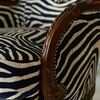 Tiny 20231005154723 81ec725a mperzera zebra