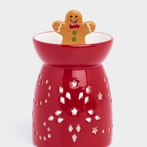 ΑΡΩΜΑΤΙΣΤHΣ ΓΙΑ WAX MELTS GINGER COOKIE - αρωματικά κεριά