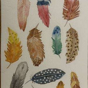 Feathers