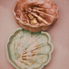 Tiny 20250204182855 fff105ef seashell 10