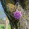 Tiny 20250204184432 77c80c4e macrame boho necklace