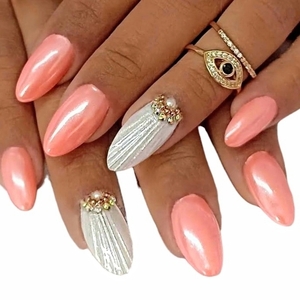 sea ​​shells