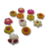 Tiny 20250227221943 d65d19ed spring s special