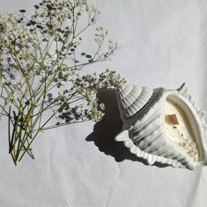 ”Shell” μεγάλο κεραμικό κερί κοχύλι - κοχύλι, αρωματικά κεριά - 4