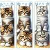 Tiny 20250701085028 64eab47c set 3 tmch