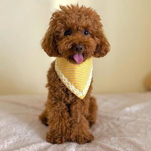 Μπαντάνα σκύλου Small Happy Margaret - μπαντάνες - 2