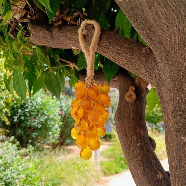 Σαπούνι σταφύλι Grape soap Lemon - χεριού - 2