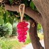 Tiny 20250826120737 bc17d0f9 sapouni stafyli grape