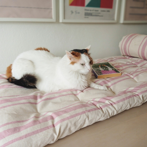 Sofa topper - 65x200 εκ, ριγέ ρόζ στρωμα καναπέ, 100% Βαμβάκι - αστέρι - 4