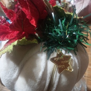 Κολοκύθα εκρού βελούδινη με αλεξανδρινό λουλούδι Νο1 - αστέρι, βελούδο, δασκάλα, στολίδια, κολοκύθα - 4